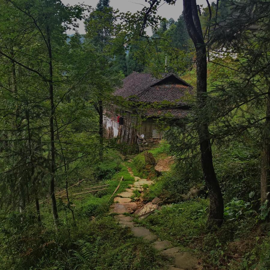 Longji Rice Terraces Green View Guesthouse Longsheng Exterior photo